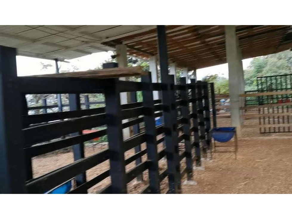 Finca Copacabana, 32.000 mts, con Pesebreras — foto 4