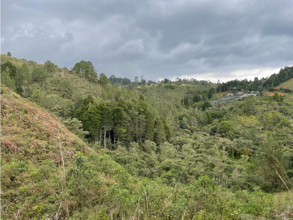 Lote en Sopetrán, 4.400 mts, en Unidad cerrada — foto 4