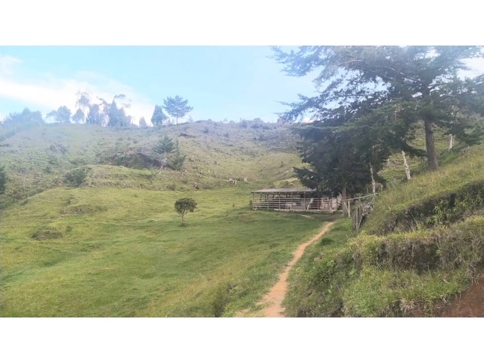 Lotes en Marinilla, desde 10.500 mts y más áreas. — foto 3