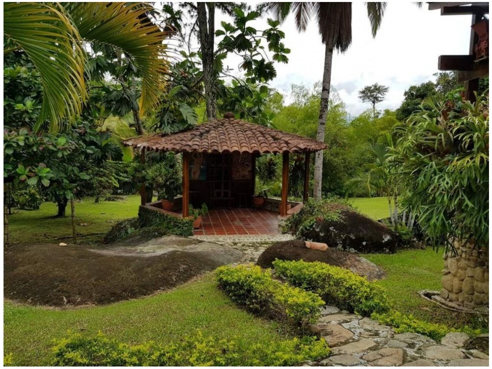 Finca en Yolombó, Sector Porce 6.000 mts2, independiente - 4