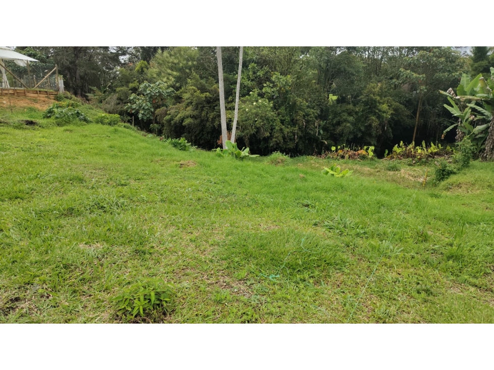 Lote en Rionegro, desde 229 Mts, Llanogrande, via San Antonio