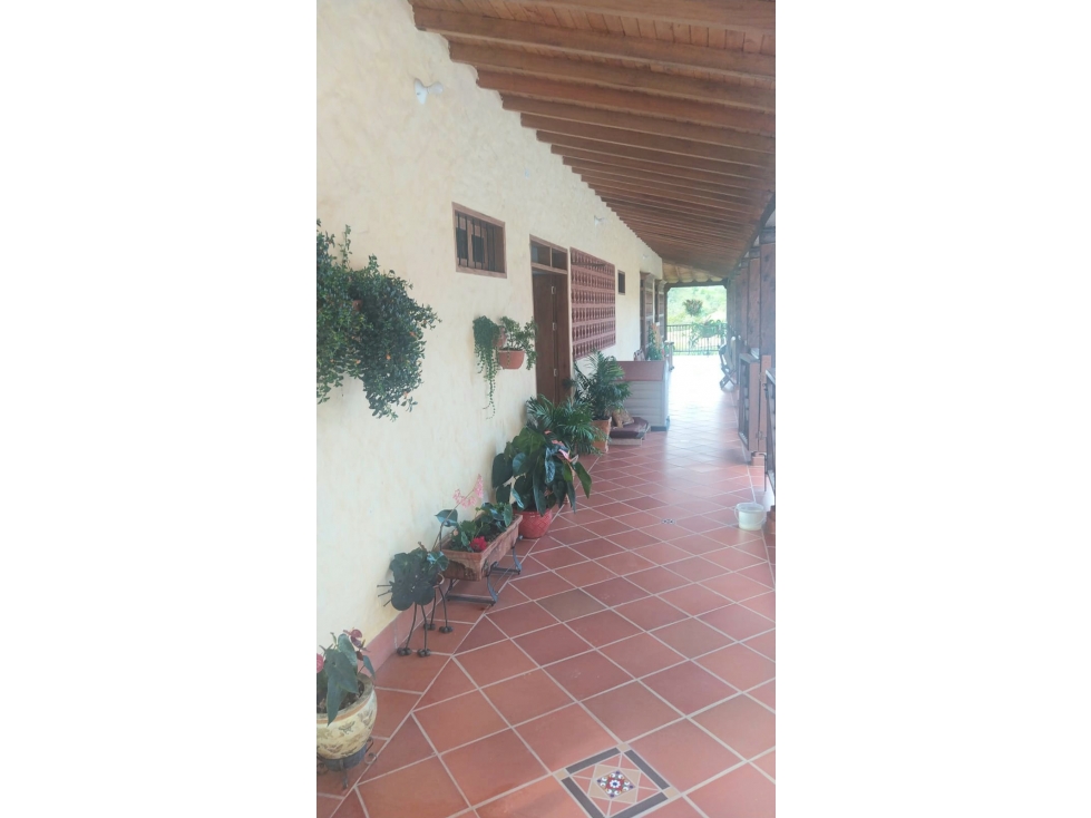 Finca en Marinilla, 43.000 mts, con Pesebreras, Independiente — foto 5