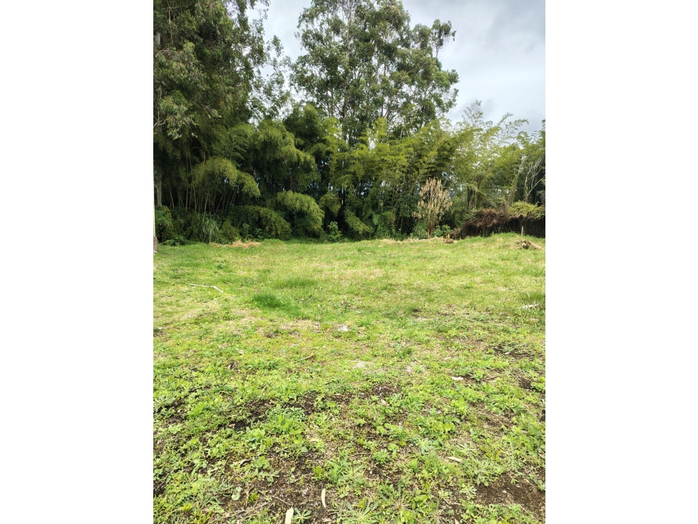 Lote en Rionegro, desde 229 Mts, Llanogrande, via San Antonio — foto 6