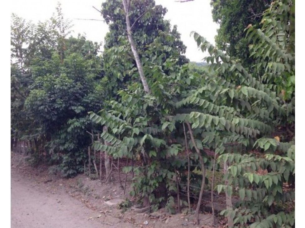 Lote en Sopetrán 5.444mt2, sector Turístico y campestre — foto 6