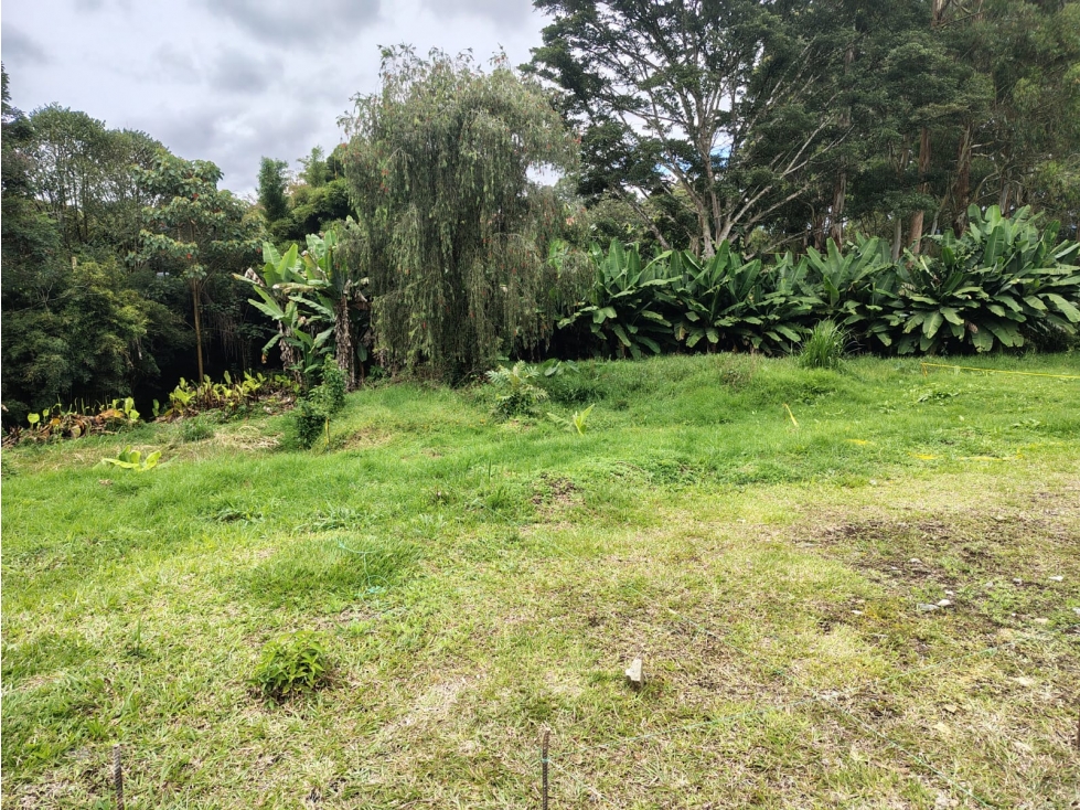 Lote en Rionegro, desde 229 Mts, Llanogrande, via San Antonio — foto 3