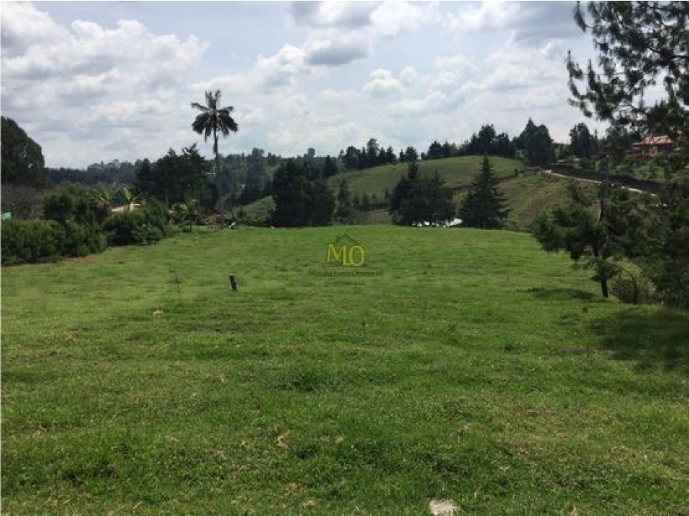Lote en Rionegro, 32.000 mts, sobre la vía, La Mosquita