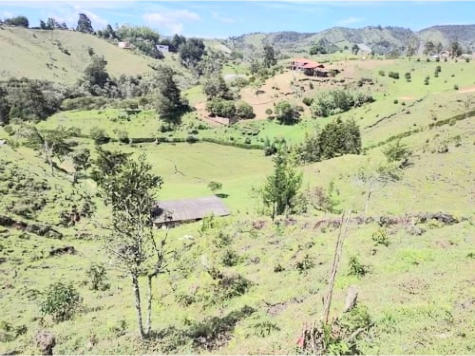 Lotes en Marinilla, desde 10.500 mts y más áreas.