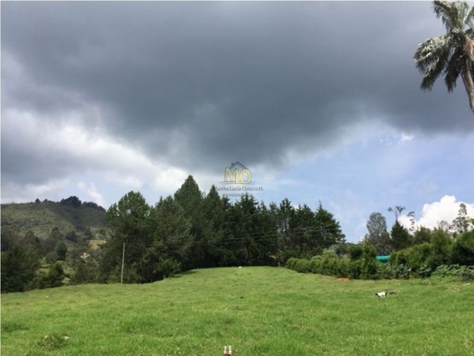 Lote en Rionegro, 32.000 mts, sobre la vía, La Mosquita — foto 2
