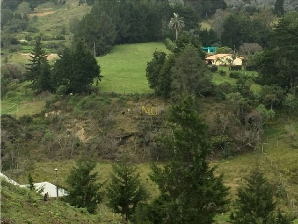 Lote en Rionegro, 32.000 mts, sobre la vía, La Mosquita — foto 3
