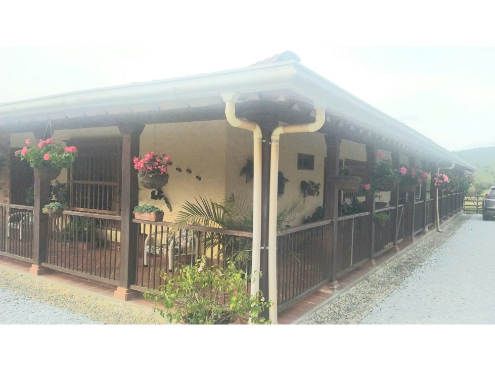 Finca en Marinilla, 43.000 mts, con Pesebreras, Independiente — foto 6