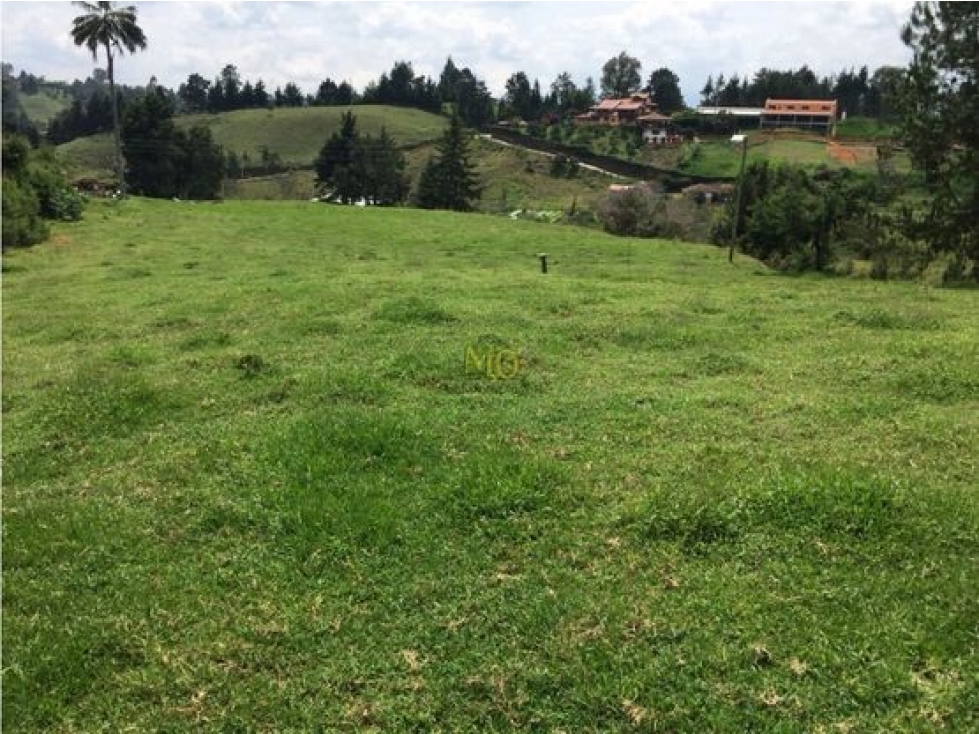 Lote en Rionegro, 32.000 mts, sobre la vía, La Mosquita — foto 4