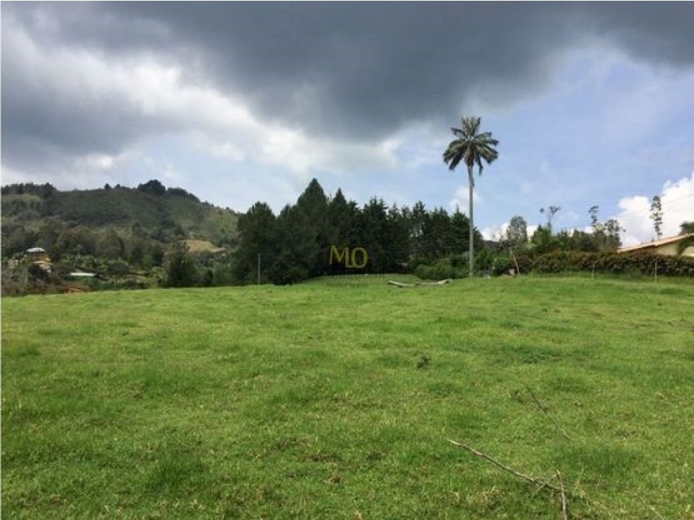 Lote en Rionegro, 32.000 mts, sobre la vía, La Mosquita — foto 5