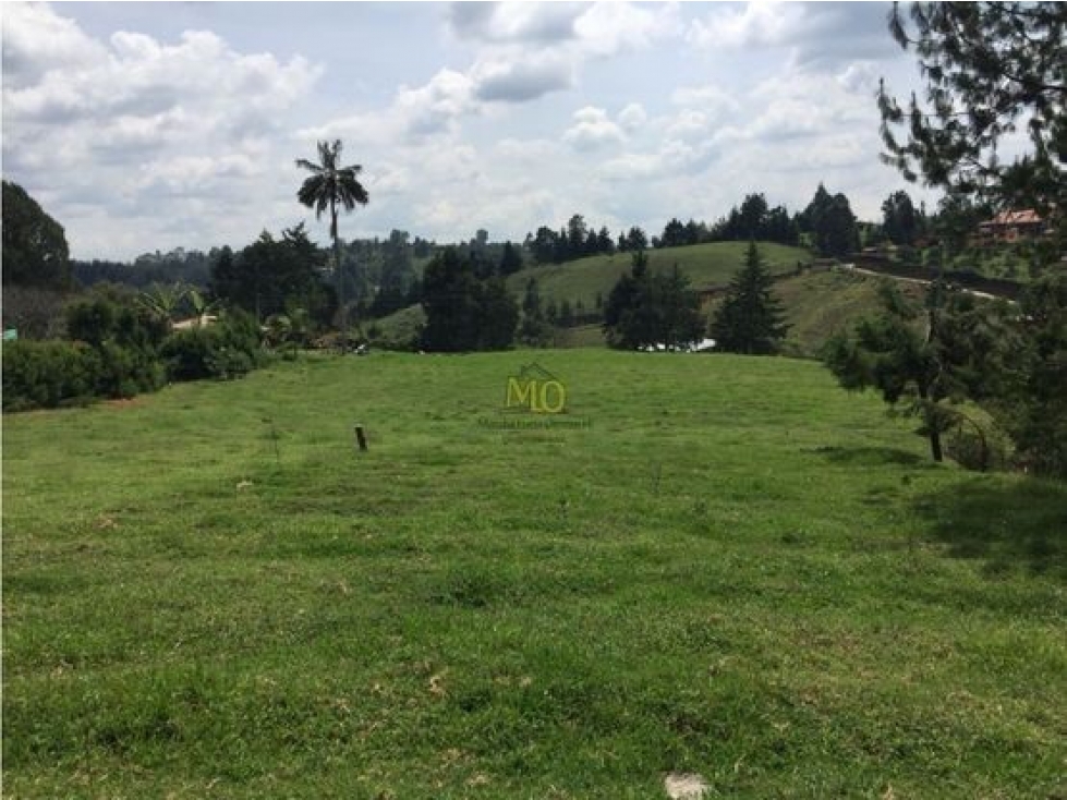 Lote en Rionegro, 32.000 mts, sobre la vía, La Mosquita — foto 6