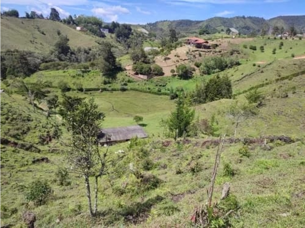 Lotes en Marinilla, desde 10.500 mts y más áreas. — foto 5