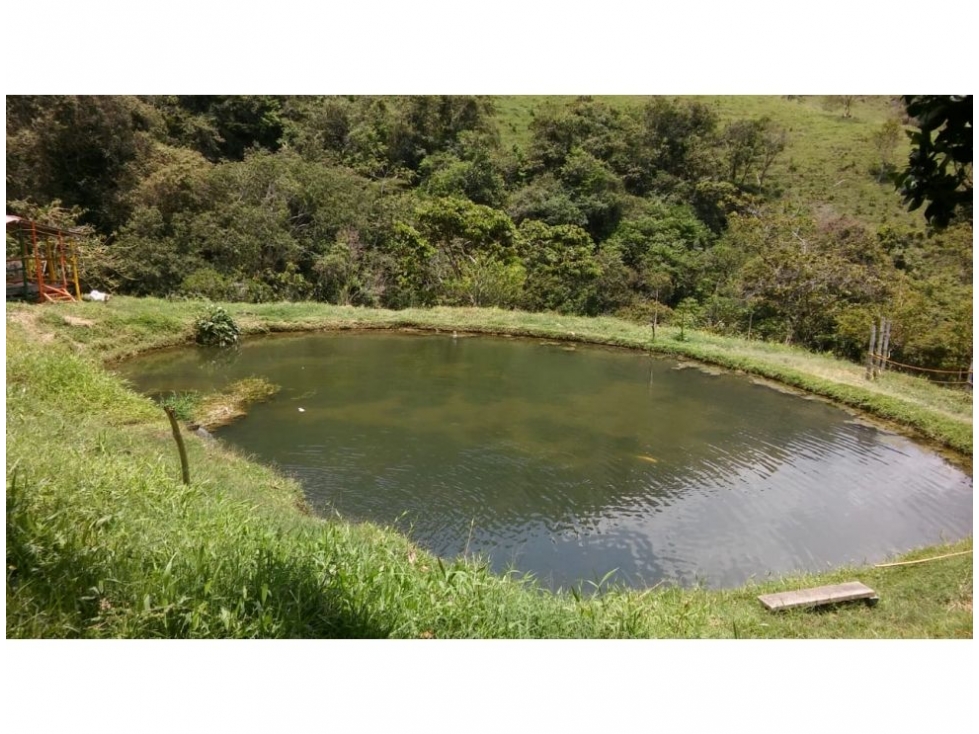 Finca en Girardota 57.600 mts, (para truchas) — foto 3