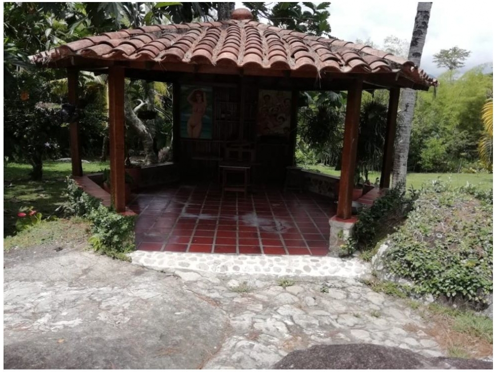 Finca en Yolombó, Sector Porce 6.000 mts2, independiente - 6