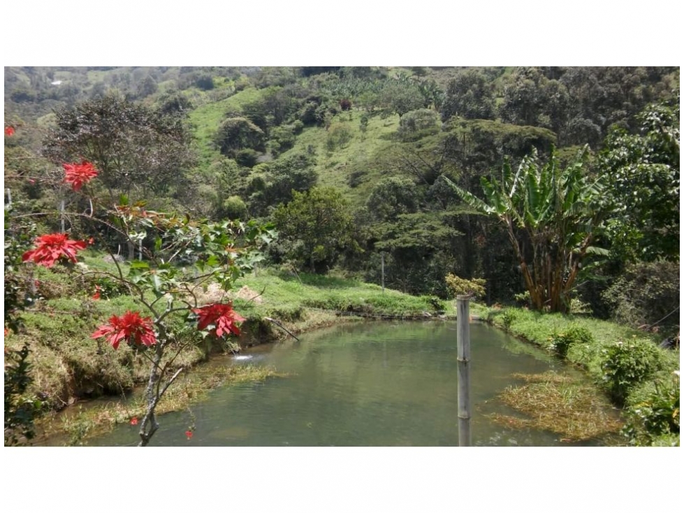 Finca en Girardota 57.600 mts, (para truchas) — foto 6