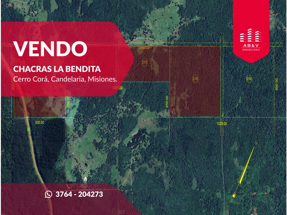 Chacras La Bendita Cerro Corá, Misiones - desde USD50.000 - 1