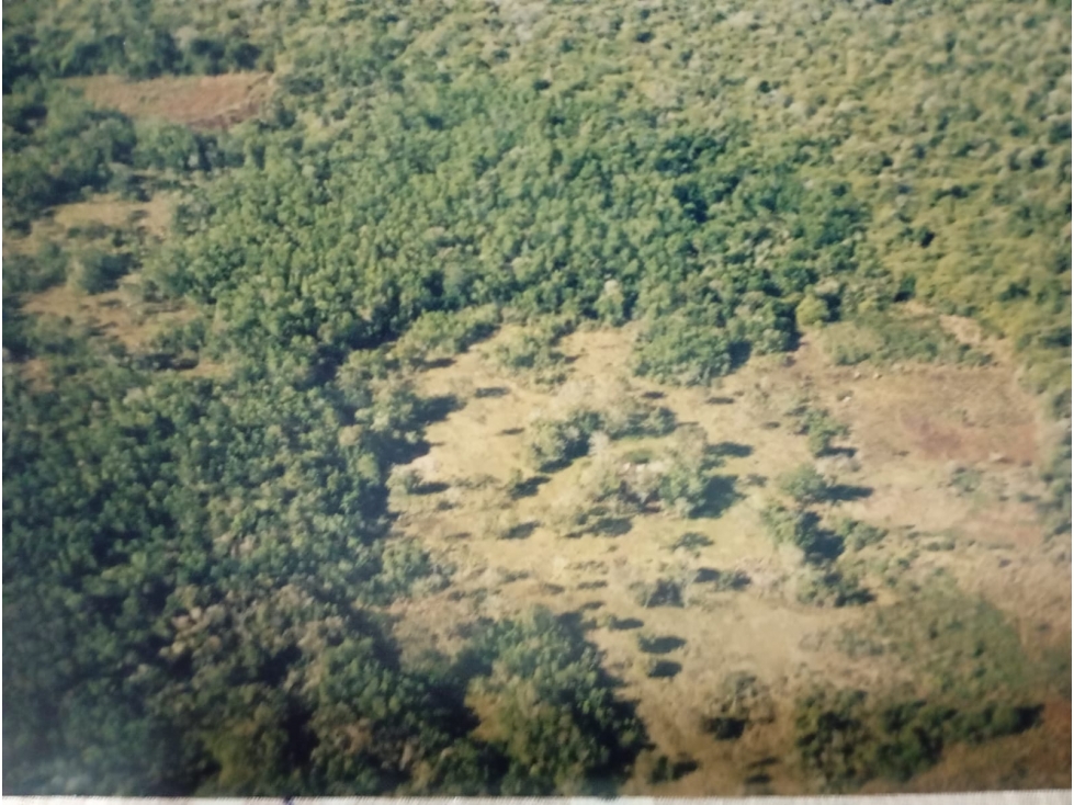 VENDO CAMPO EN PROFUNDIDAD - CANDELARIA - MISIONES - SOBRE ARROYO - 6