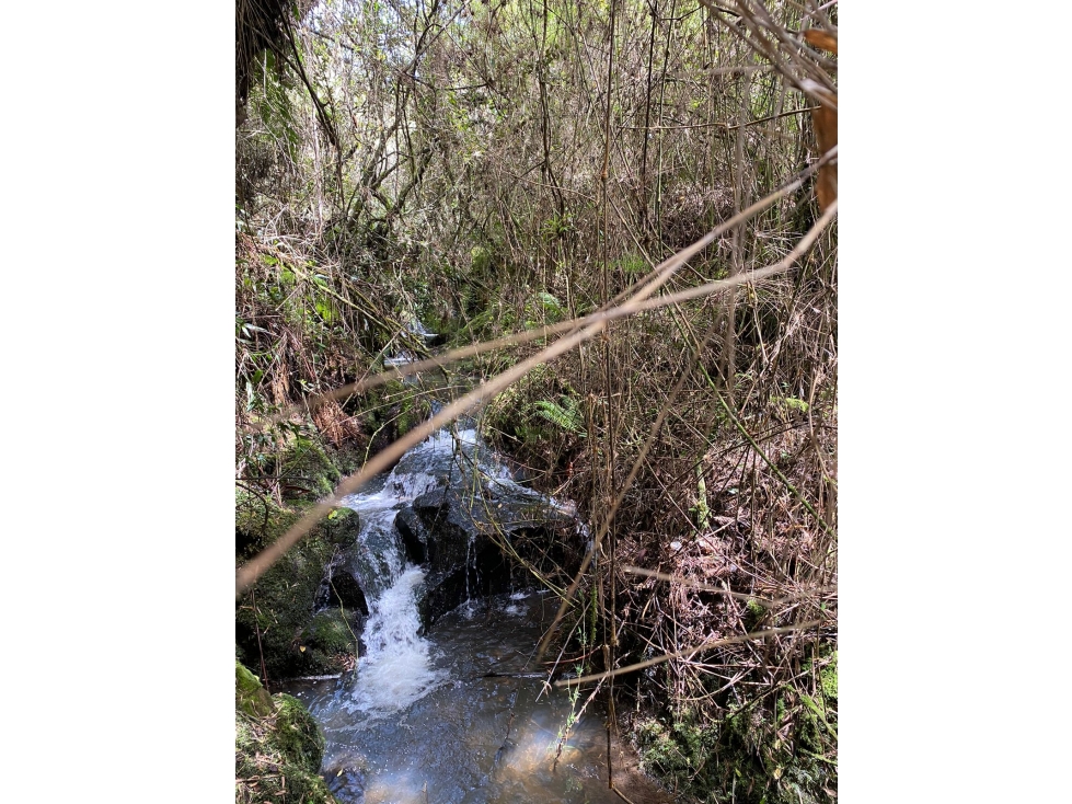 HACIENDA EN SOPO-PASTO - 4