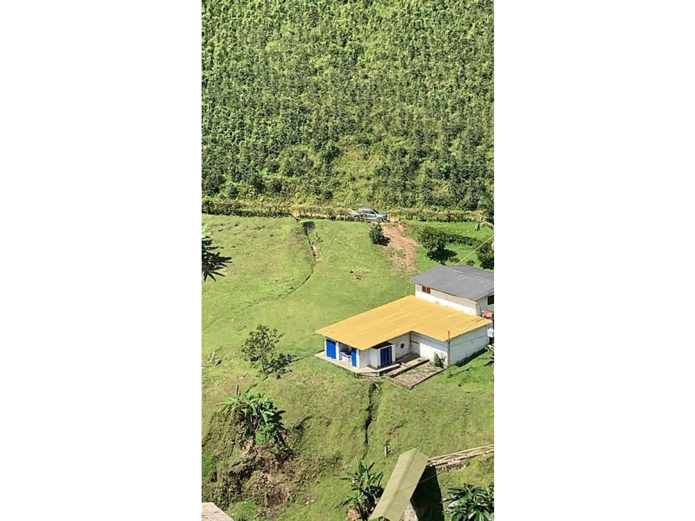 HACIENDA CAFETERA SANTA ROSA DE CABAL-RISARALDA