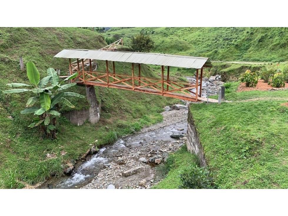HACIENDA CAFETERA SANTA ROSA DE CABAL-RISARALDA — foto 6