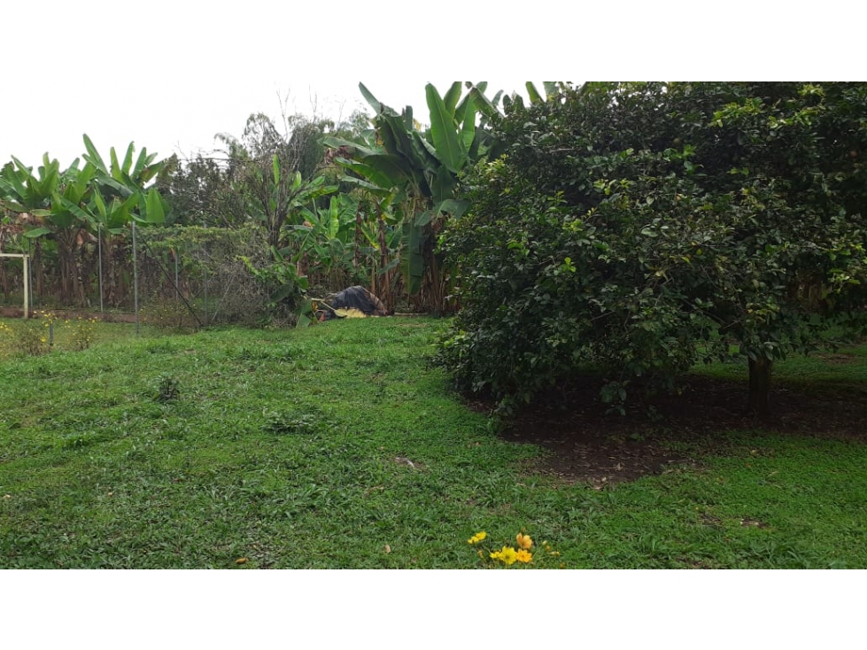 CASA CAMPESTRE EL CAIMO QUINDIO - 6