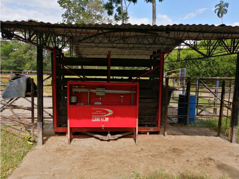 FINCA GANADERA - 5