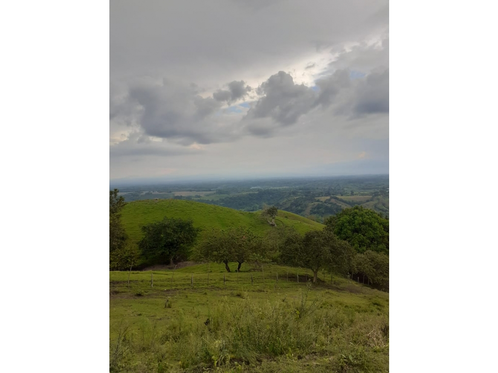 FINCA GANADERA - 1