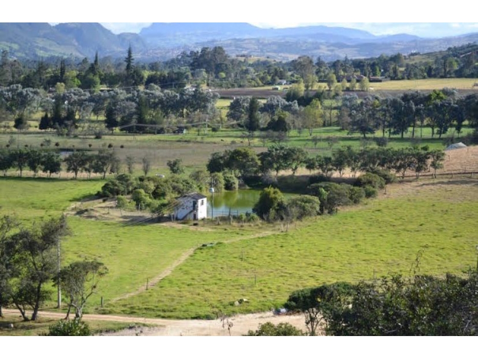 HACIENDA EN SOPO-PASTO - 2