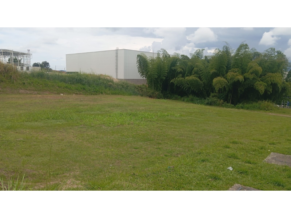 LOTE INDUSTRIAL CERRITOS-PEREIRA (bodega)