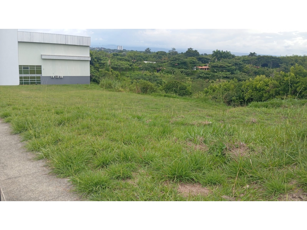 LOTE INDUSTRIAL CERRITOS-PEREIRA (bodega) — foto 3