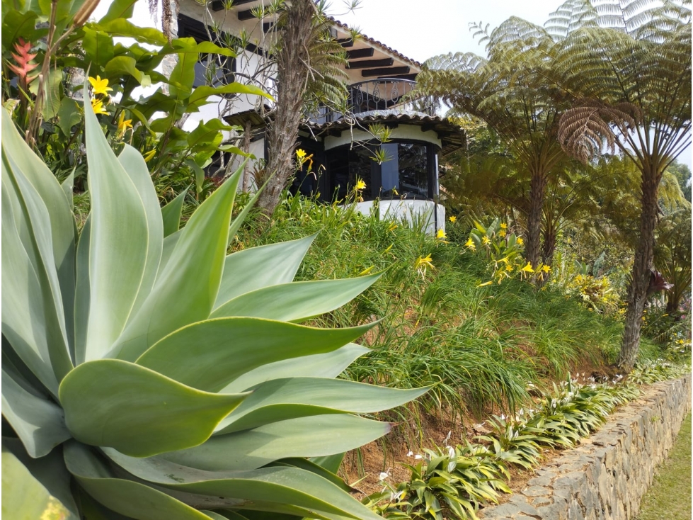 DAPA POR RACAMANDAPA FINCA EN ALQUILER CALI - 4