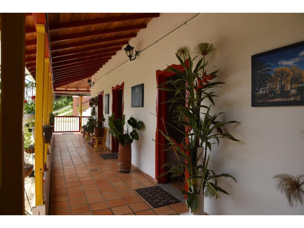 QUINDIO EJE CAFETERO BUENA VISTA CERCA A CAICEDONIA PANACA ARMENIA - 3