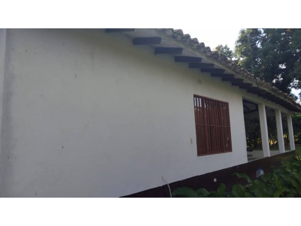 Villa Gorgona 17775 M2 FINCA PRODUCTIVA CERCA A CALI - 2
