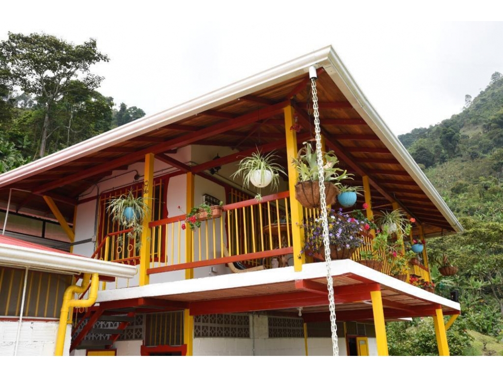 QUINDIO EJE CAFETERO BUENA VISTA CERCA A CAICEDONIA PANACA ARMENIA - 5