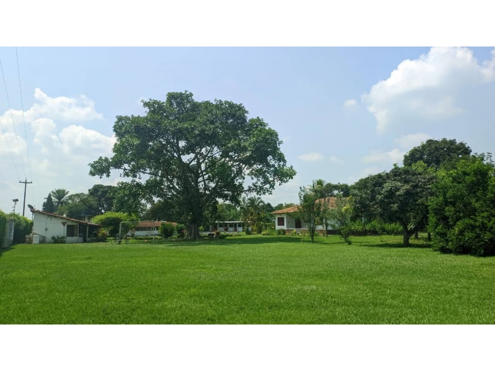 Villa Gorgona 17775 M2 FINCA PRODUCTIVA CERCA A CALI - 3