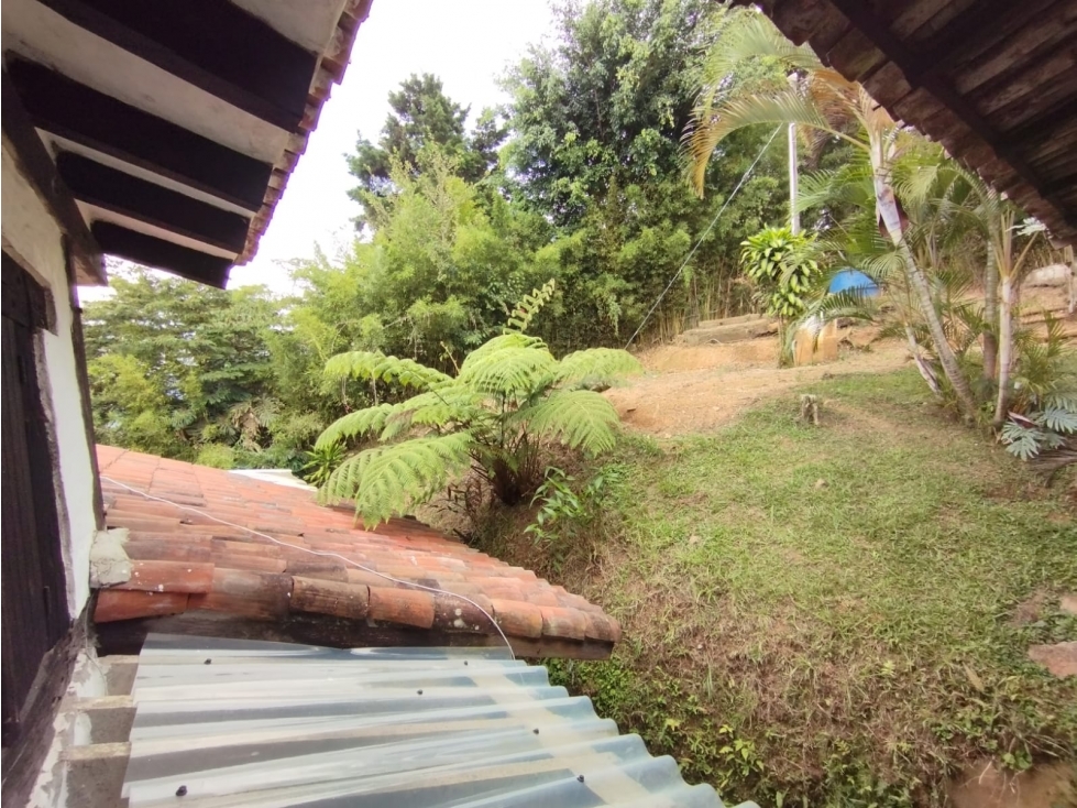 DAPA POR RACAMANDAPA FINCA EN ALQUILER CALI - 5