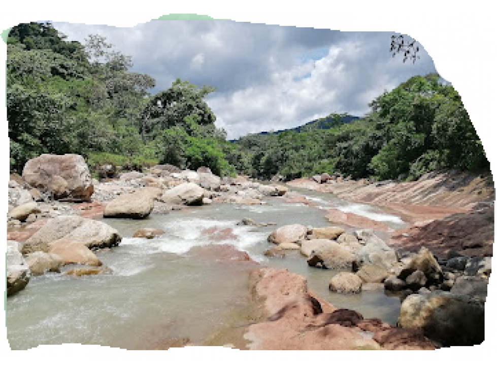 HERMOSA FINCA EN CASANARE ENTRE AGUAZUL Y YOPAL RIO CHARTE - 5
