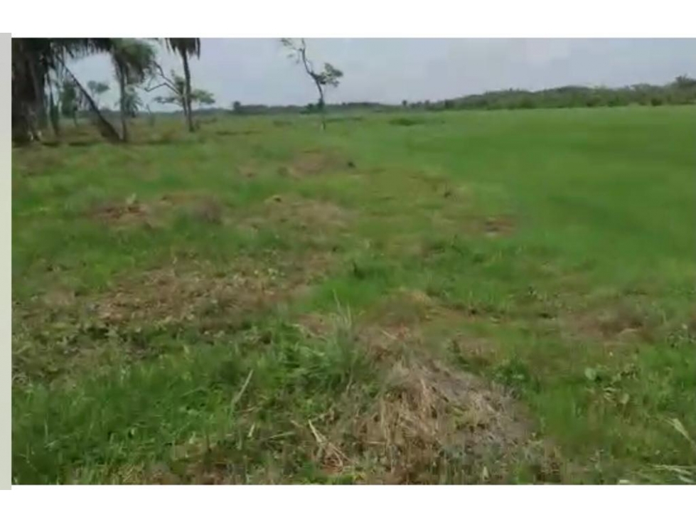 CASANARE 2 MANÍ AGUAZUL YOPAL FINCA GANADERA O ARROCERA 5,4 Has: - 2