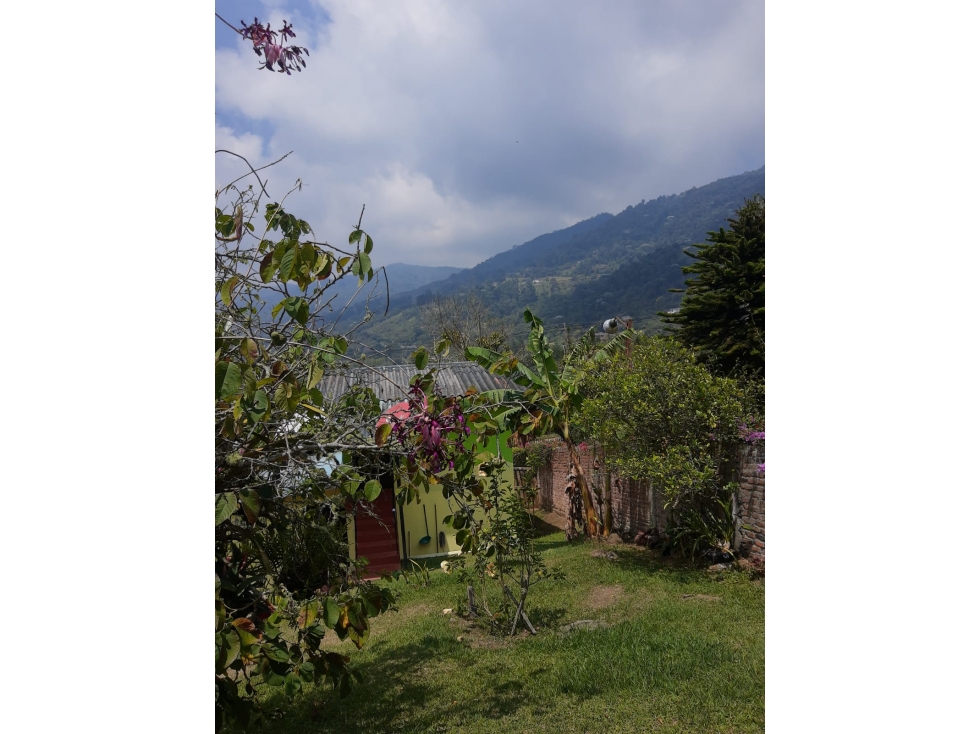 DAPA CASA SENCILLA PARA ALQUILAR - 2
