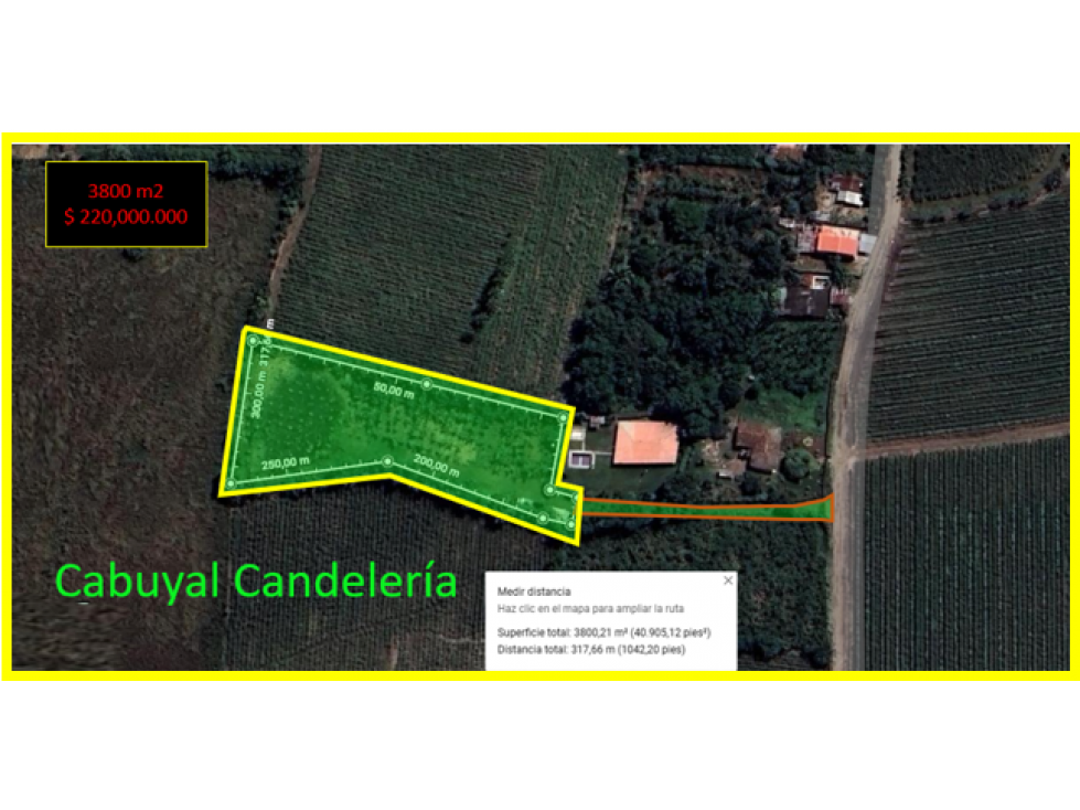 9664 m2 CABUYAL FINCA AGRICOLA PRODUCTIVA AGUA ABUNDANTE 2 FINCAS - 4