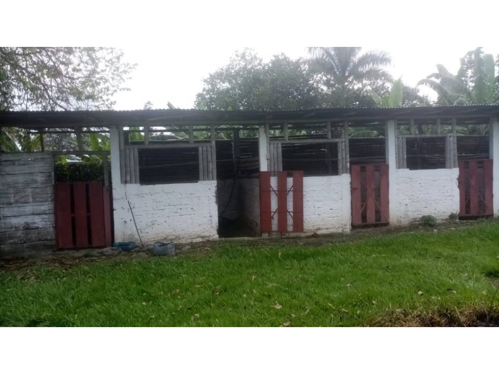 Villa Gorgona 17775 M2 FINCA PRODUCTIVA CERCA A CALI - 6