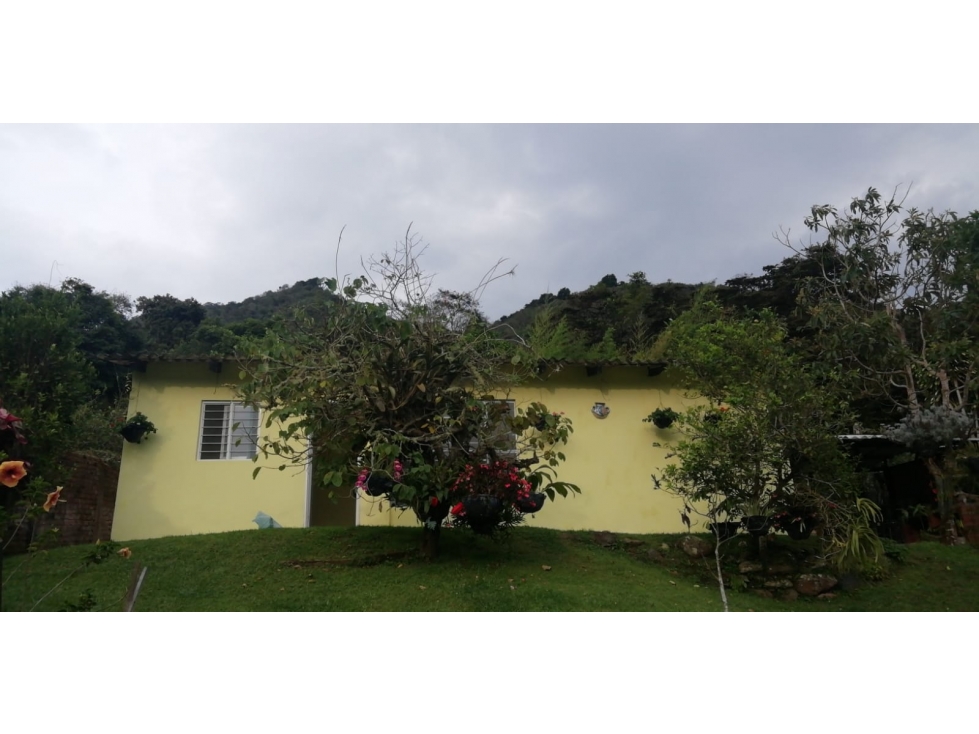 DAPA CASA SENCILLA PARA ALQUILAR - 4