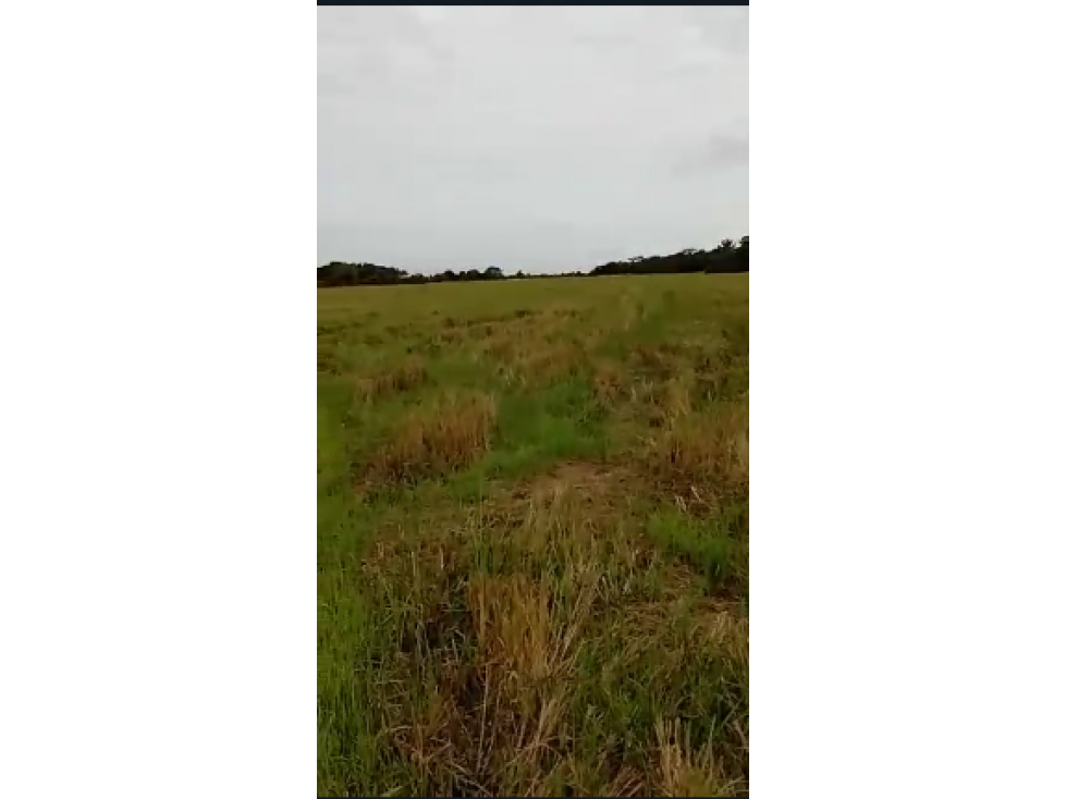 CASANARE 2 MANÍ AGUAZUL YOPAL FINCA GANADERA O ARROCERA 5,4 Has: - 5