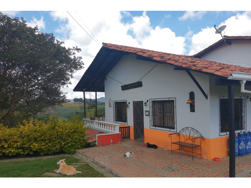FINCA EN VENTA - VDA LOS PINOS - AUTOPISTA MEDELLÍN-BOGOTÁ — foto 2