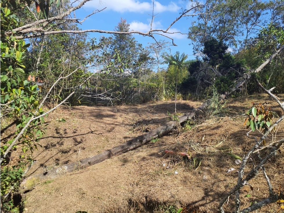 LOTE EN VENTA - GUARNE ANTIOQUIA - SECTOR PIEDRAS BLANCAS — foto 5