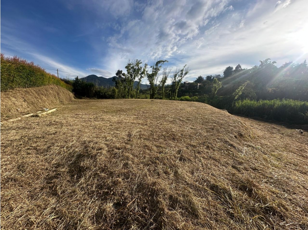 LOTE EN VENTA - EL CARMEN DE VIBORAL - VEREDA SAMARIA