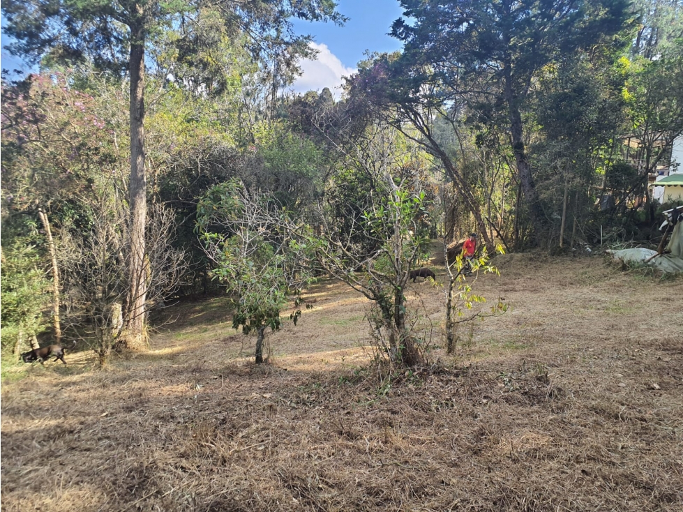 LOTE EN VENTA - GUARNE ANTIOQUIA - SECTOR PIEDRAS BLANCAS — foto 4