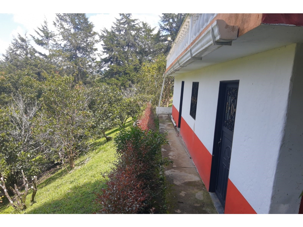 FINCA EN VENTA - VDA LOS PINOS - AUTOPISTA MEDELLÍN-BOGOTÁ — foto 5